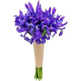 Stargazer Barn Be My Roman Empire Bouquet Telstar Iris Fresh Flowers, Fresh Cut Flowers for Longer Life - Bouquet of Flowers for Birthday, Anniversary, Get Well, Sympathy, Congratulations, Thank You