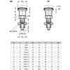 Ganter Normelemente GN 817-10-12-CK 817-10-12-CK-Locking Bolt with Locking Mechanism, Black,