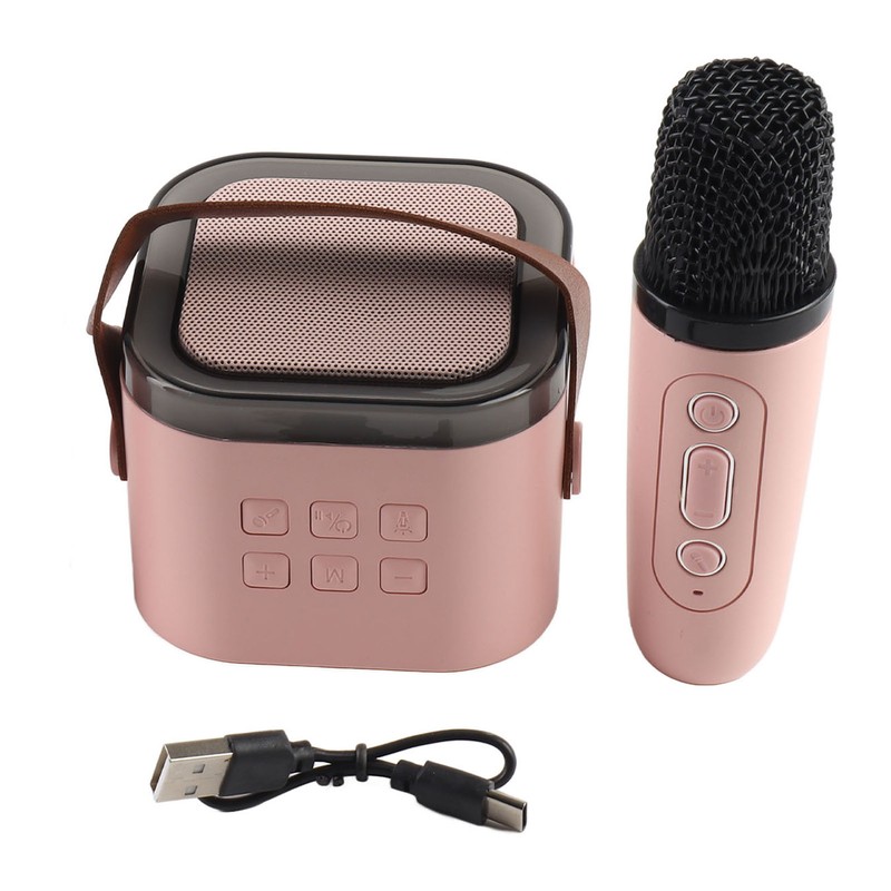 Karaoke Machine Mini Portable Wireless Bluetooth Handheld Microphone Speaker for