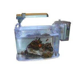 Mini Deco 2 Gal Kit