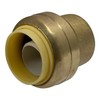 XFITTING Push Fit 3/4 Inch End Cap Plug with 1
