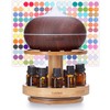 TJ.MOREE Bamboo Diffuser Holder Carousel- 2 Tier Height Increase Rack