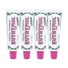EUTHYMOL Whitening Toothpaste Large Size 120g (4 Packs) / EUTHYMOL
