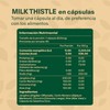 Milk Thistle. Cardo Mariano, Aloe Vera, Curcuma y Jengibre. Con
