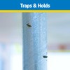 Raid Fly Stick, Pack of 6, Each Trap Catches up