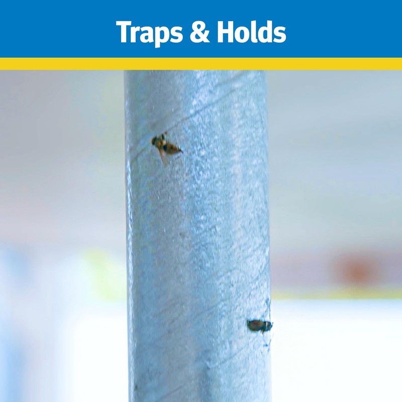 Raid Fly Stick, Pack of 6, Each Trap Catches up