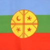 AZ FLAG Mapuche People of Chile Flag 18'' x 12''