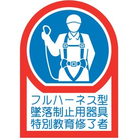 Japanese Green Cross Helmet Sticker Full Harness Crash Control Equipment Special Education Graduate 1.4 x 1.0 inches (35 x 25 mm), Set of 10, Olefin 233128