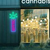 Green Leaf Neon Sign Dimmable Open Neon Lights for Wall