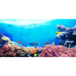 AWERT 48x24 inches Underwater Aquarium Background Colorful Coral Tropical Fish Undersea World Fish Tank Background Vinyl