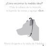 Cadena De Castigo Entrenamiento Acero Diferentes Medidas