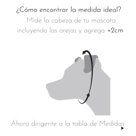 Cadena De Castigo Entrenamiento Acero Diferentes Medidas