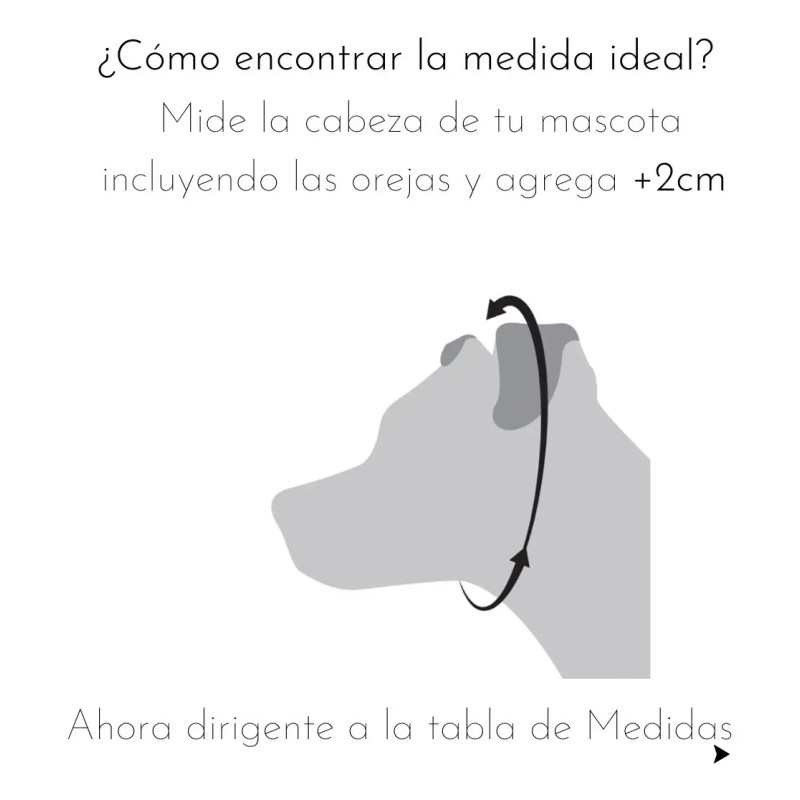 Cadena De Castigo Entrenamiento Acero Diferentes Medidas