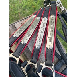 Leaders Leather Horse Halters Black Leather with Red Leather Piping Trim and Customized Engraved Name Plate (Cob Size)