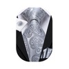 Hi-Tie Grey Paisley 63inches Tie Set for Men: Long Silk