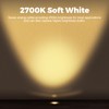 Gardencoin Low Voltage Landscape LED Well Lights, 12V in Ground