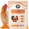 CanineGluca Chick’n Aid, 8 oz Essential Chicken Supplement, Ideal for