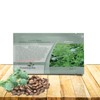 Outsidepride Zanzibariensis Castor Bean Seeds - 100 Pcs Annual Quick-Growing