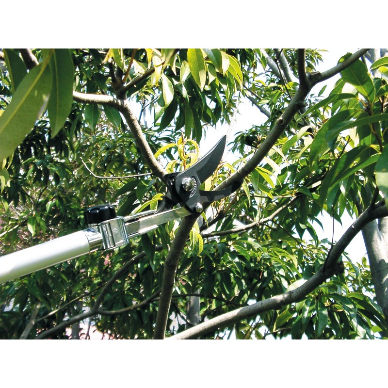 ARS LA-180ZR203 4-to-7-Feet Long Reach Pruner