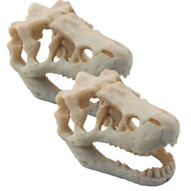 MTGHYARE Resin Dinosaur Skull Aquarium Ornament Mini Dinosaur Tank Decoration Betta Fish Small Dinosaur Skull Fish Reptile Tank with Holes Aquarium Landscape Reptile Hideout Caves