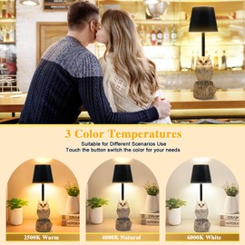 TYNLED Owl Table Lamp, 3 Way Dimmable Owl Night Light Lamp for Bedroom Cordless Table Lamp Touch Control Lamp with USB C Charging Port Battery Animal Desk Lamp for Bedroom Dining Room Office Dorm