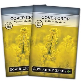 Sow Right Seeds - Yellow Mustard Seed for Planting - Cover Crops to Plant in Your Home Garden - Enriches Soil - Suppresses Weeds - Cold Hardy - Non-GMO Heirloom Seeds - Great Gardening Gift (2)