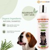 4PAWSRAW Natural Adult Dog Shampoo – Thyme with Silk Protein