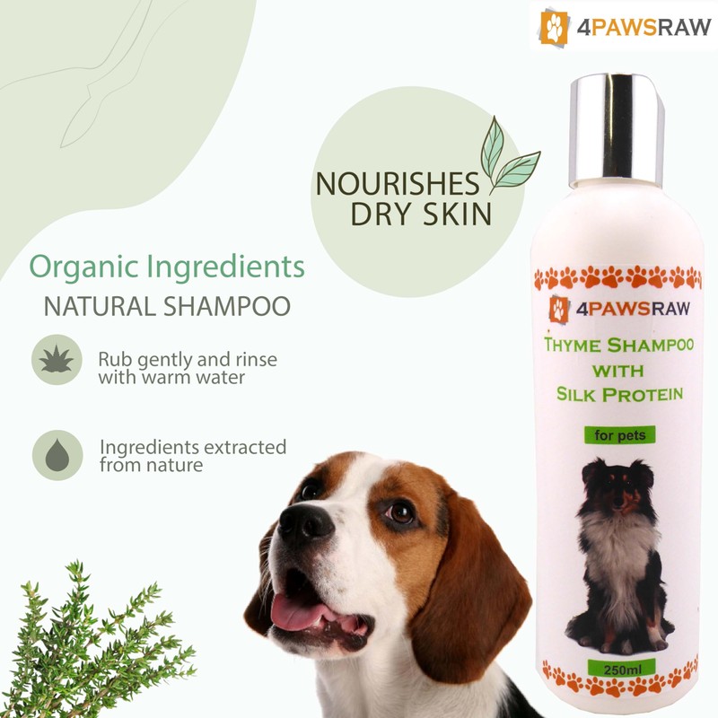 4PAWSRAW Natural Adult Dog Shampoo – Thyme with Silk Protein
