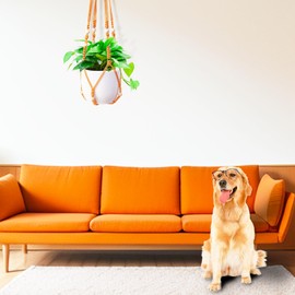 1pc, Hand-woven Balcony Hanging Flower Pot Net Pocket Wall-mounted Flower Pot Hanging Rope Green Carrot Hanging Basket Colorful Flower Pot Net Pocket Hanging Basket, Golden