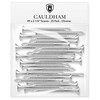 Cauldham Chrome Wood Screws #9 x 2-1/4 Inch for Door