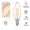 Lawyettle E12 LED Candelabra Bulbs 40 Watt Equivalent, 2700K Warm