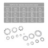 EMSea 400pcs M2-M12 Assorted Serrated Lock Washers Kit, 304 Stainless