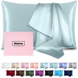 Mulberry Silk Pillowcase - Soft, Breathable, Smooth Both Sided Natural Silk Pillowcase with Zipper - Beauty Sleep Silk Pillow Case 1 Pack for Gift (Queen, Haze Blue)