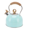 2.5L Whistling Tea Kettle with Handle Stainless Steel Portable Stovetop