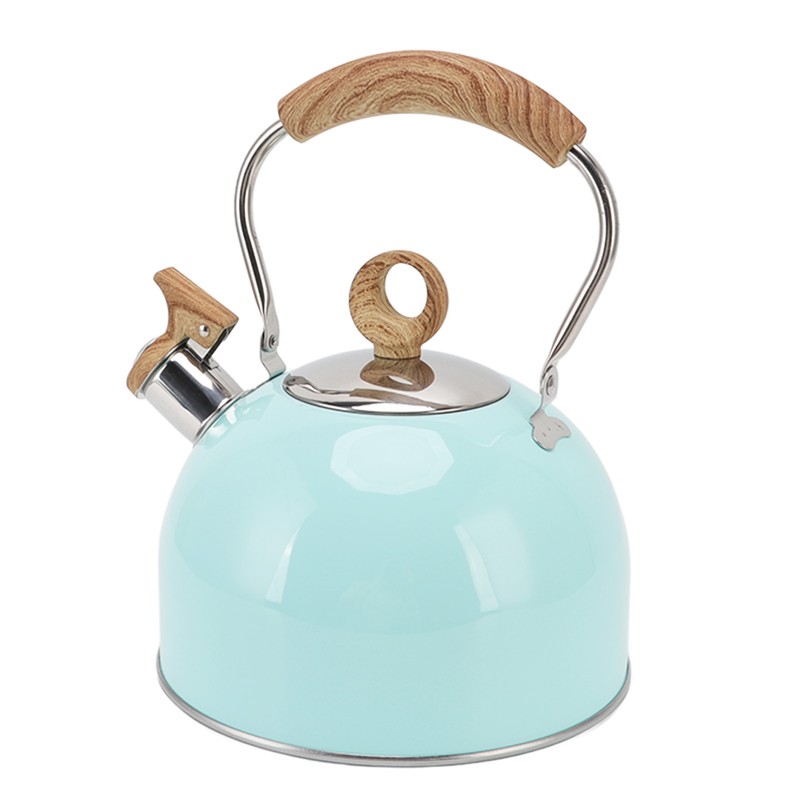 2.5L Whistling Tea Kettle with Handle Stainless Steel Portable Stovetop