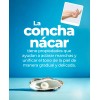 Stanhome Crema Reparadora La Pomada Mágica Concha Nacar 3 Pz