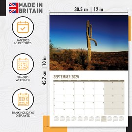 Calendar 2025 Funny Natures D*ck Pics - A3 Month to View features 12 High Resolution Images of Natural Funny Images - Gag, Rude, Great Gift for Birthdays, Secret Santa Christmas Stocking Present