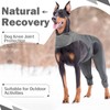 ROZKITCH Dog ACL Surgery Recovery for Rear Right Left Leg,