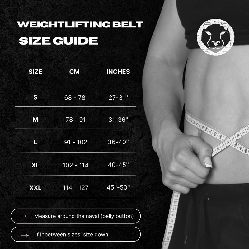 Mammal Strength Weight Lifting Belt, Comfortable Back Support, 5-Inch Gym
