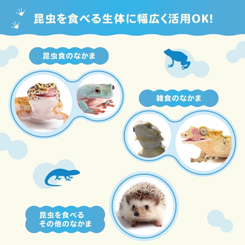 【レプケア乳酸菌】 爬虫類・両生類の腸内環境を整えるサプリメント（30g）〜乳酸菌×コオロギの力で健やかな毎日を〜