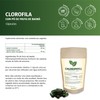 Chlorophyll 270 Kapseln - Pflanzenkraft aus Maulbeerblättern und Baobab-Fruchtpulver -