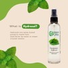 GreenHealth Peppermint Hydrosol (Floral Water) - 8 fl oz Plastic