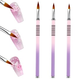 3pcs Acrylic Nail Brush Set, Nail Brushes for Nails Art, Nails Art Brushes for Gel Polish, Ombre Nailart Brush Professional 3D Flower Design Tools