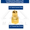 Solid Brass 1/2'' Female NPT Quick Connect Hose Connector Plug