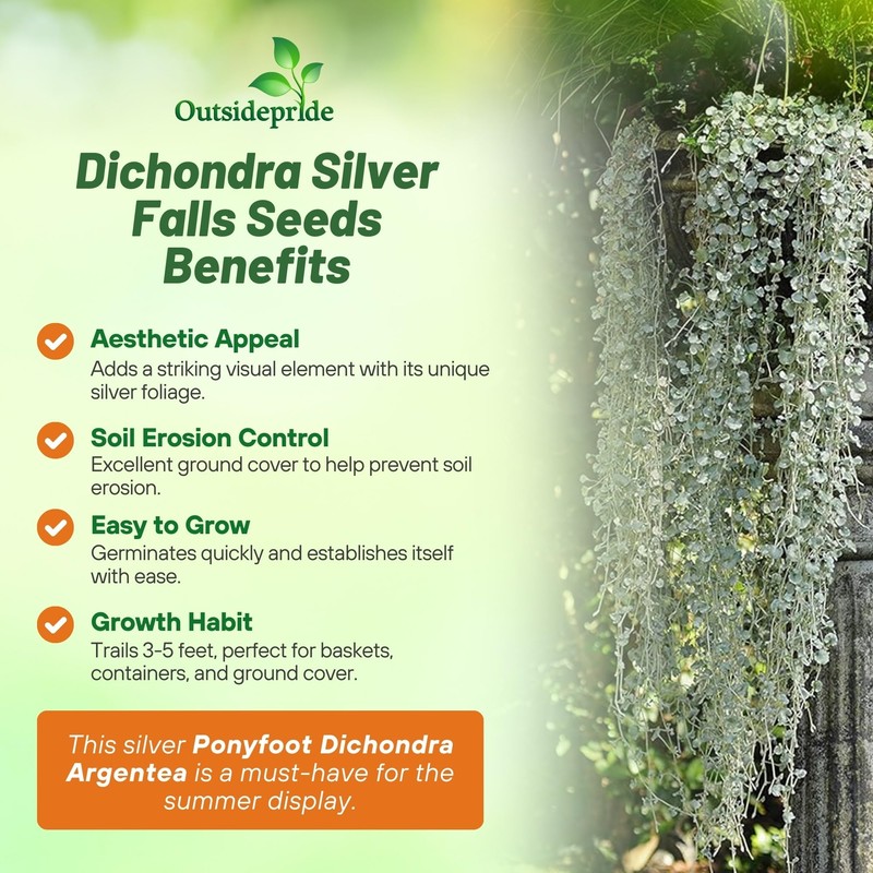 Outsidepride Perennial Dichondra Silver Falls Seed - 15 Pcs Heat