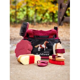 LeMieux Mini Childrens Grooming Set - Everything Little Equestrians Need - Help keep Your Pony in Tip-Top Condition - Complete Set Perfect for On The Go - Suitable for Real Horses and Ponies - Red