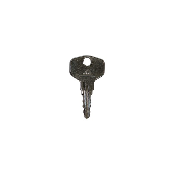 Roto TS4071 Original Key 1G1 Large 44 mm for Lockable Handles Rotoline, Silver, 44 mm
