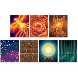 Saint Cloth Myth EX - Parts Effect Set (Phoenix & Virgo) Exclusive (japan import)