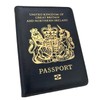 Panther New RFID Blocking British Blue Passport Cover Holder Brexit