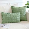 OTOSTAR Pack of 2 Corduroy Soft Decorative Throw Pillow Covers